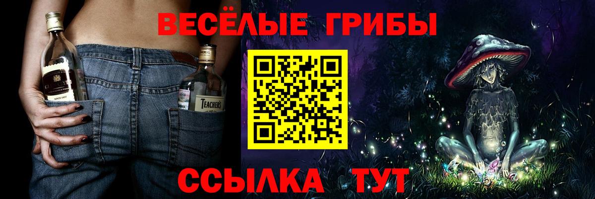 Южно-Сахалинск  Псилоцибиновые грибы MAGIC MUSHROOMS  Вход с VPN 