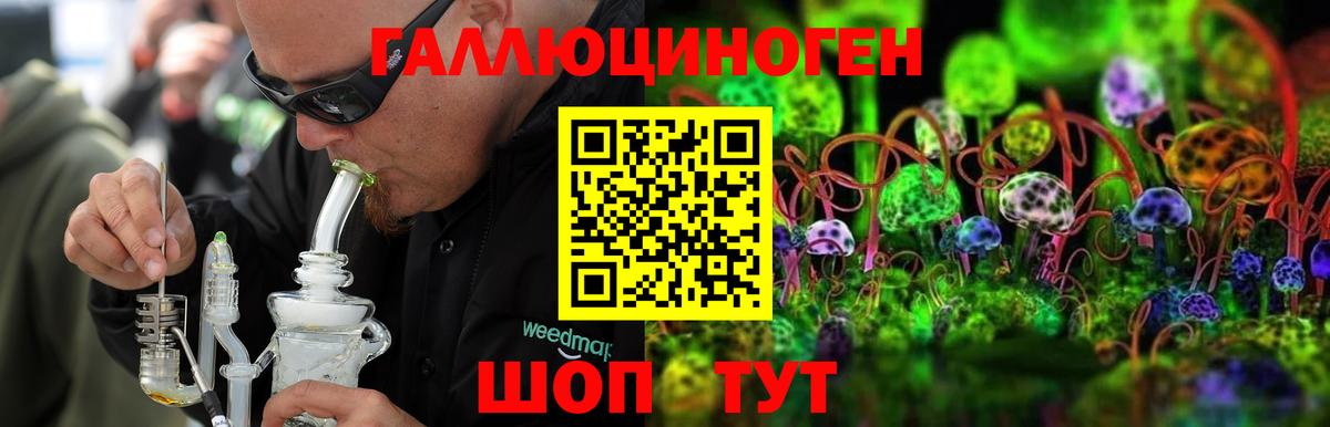 Галлюциногенные грибы прущие грибы Южно-Сахалинск